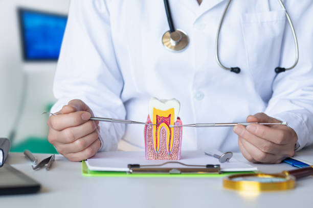 Best Emergency Root Canal Treatment in Gulf Hills, MS